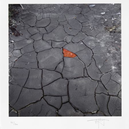 Digitale Druckgrafik Goldsworthy - Red Leaves on Cracked earth