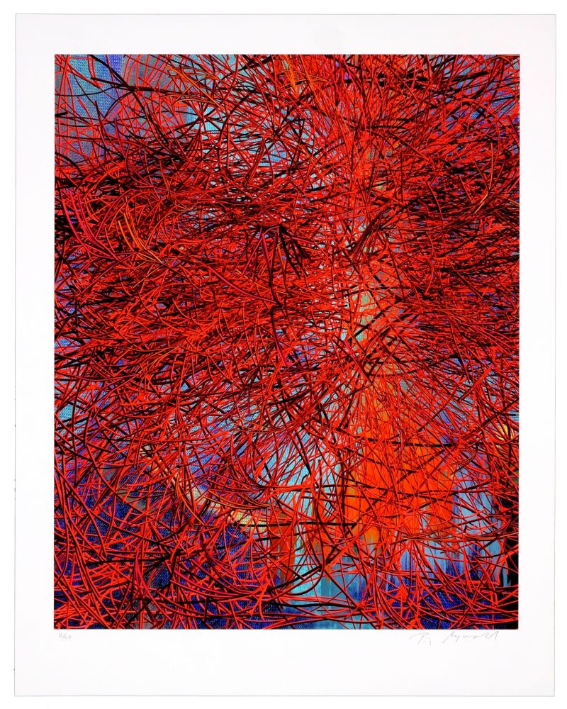 Digitale Druckgrafik Myrvold - Red Wires in Sunset