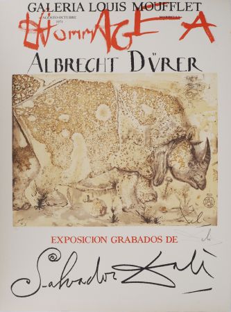 Illustriertes Buch Dali - Rhinocéros : Hommage à Albrecht Dürer