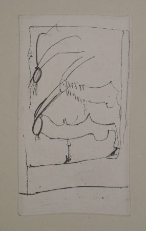 Stich Beuys - Riesenziegen