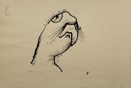 Keine Technische Hofer - Robbe (Seal)