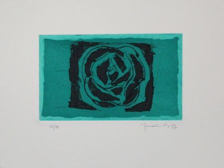 Radierung Und Aquatinta Hernandez Pijuan - Rosa verda / Green Rose