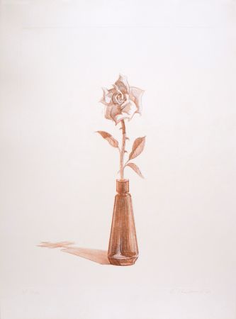 Stich Thiebaud - Rose