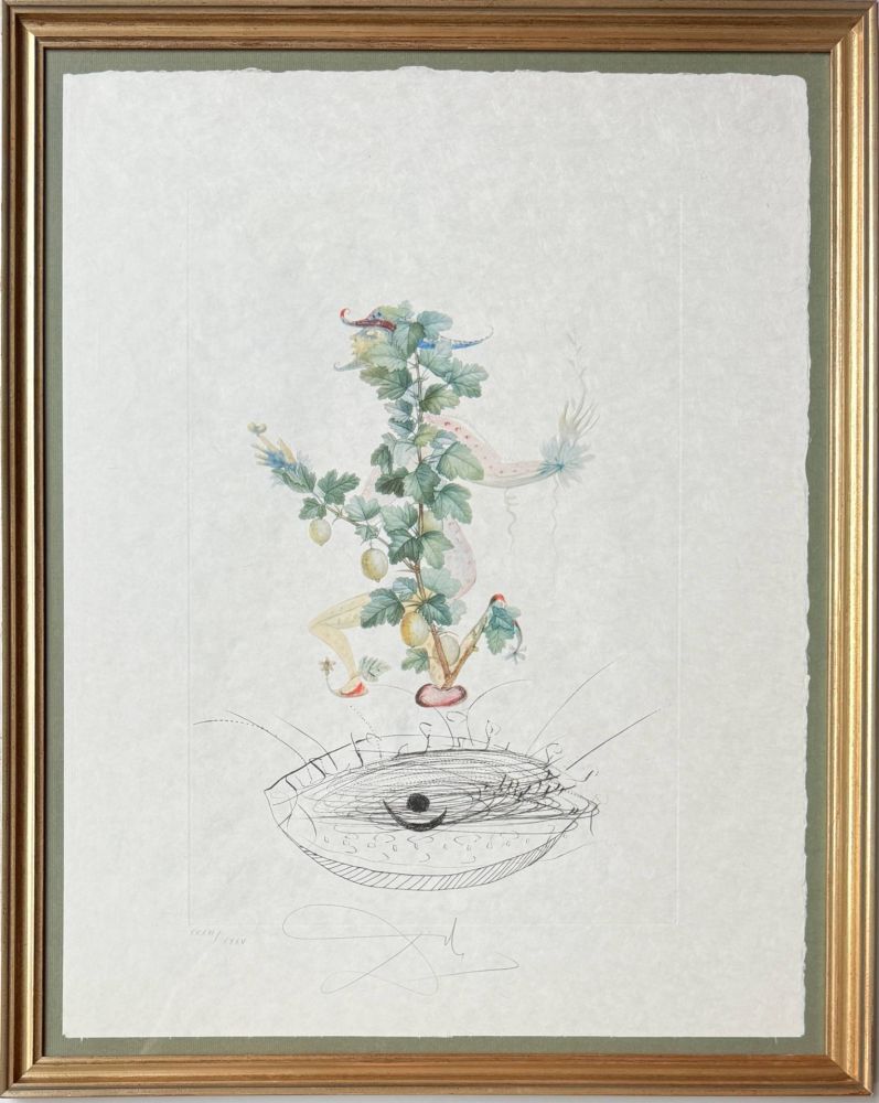 Lithographie Dali - Révérence du groseillier (Curtsying Gooseberry Bush)