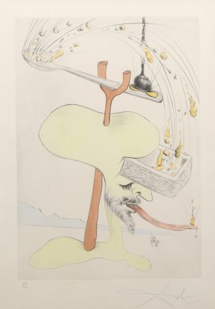Stich Dali - Salvador Dalí (1904-1989) – Quevedos Visiones – Drypoint etching with stencil on Arches paper – 1975