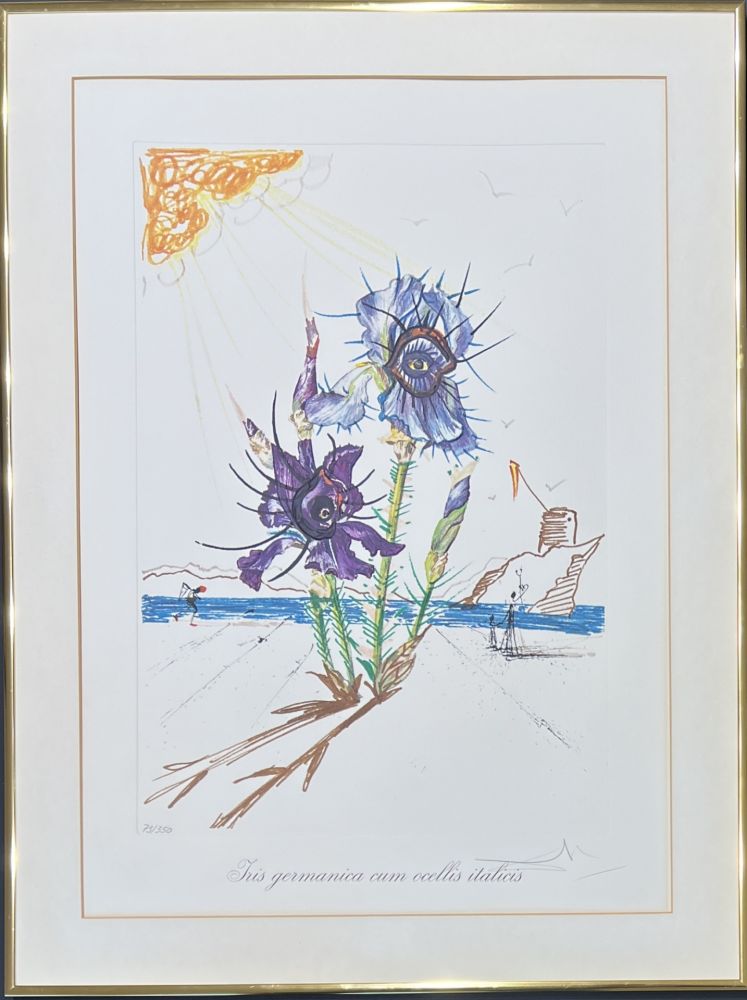 Kaltnadelradierung Dali - Salvador Dalí (1904–1989) - Coloured drypoint etching on heliogravures - 1972
