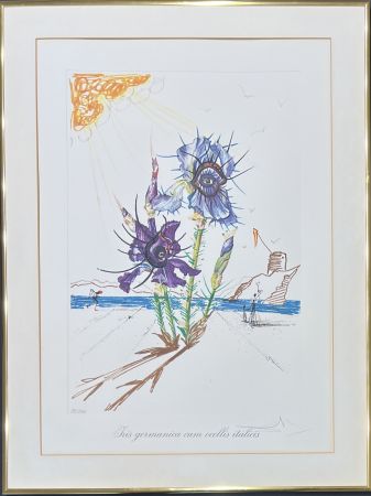Kaltnadelradierung Dali - Salvador Dalí (1904–1989) - Coloured drypoint etching on heliogravures - 1972