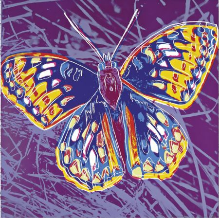 Siebdruck Warhol - San Francisco Silver Spot Butterfly, from Endangered Species
