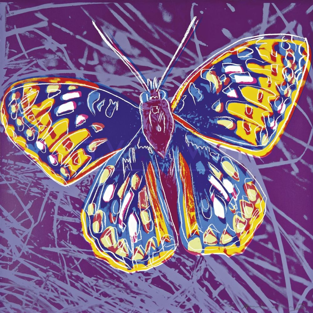 Siebdruck Warhol - San Francisco Silverspot (FS II.298)