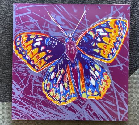 Siebdruck Warhol - San Francisco Silverspot (FS II.298)