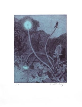 Stich Bollinger - Seed