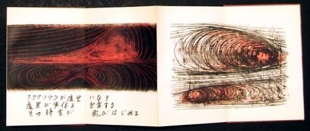 Illustriertes Buch Toyofuku - Segni e vibrazioni