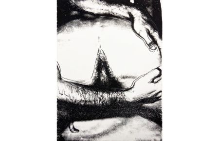 Siebdruck Warhol - Sex Parts II.173