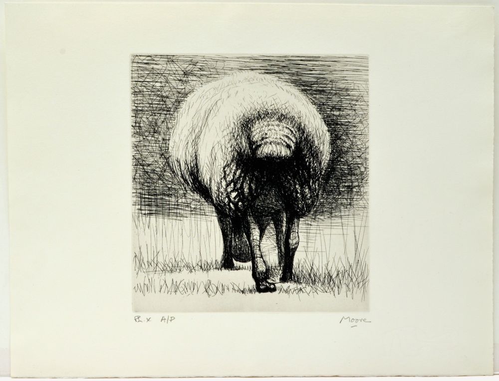 Radierung Moore - Sheep back view