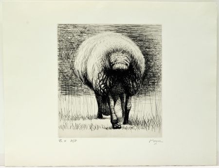 Radierung Moore - Sheep back view