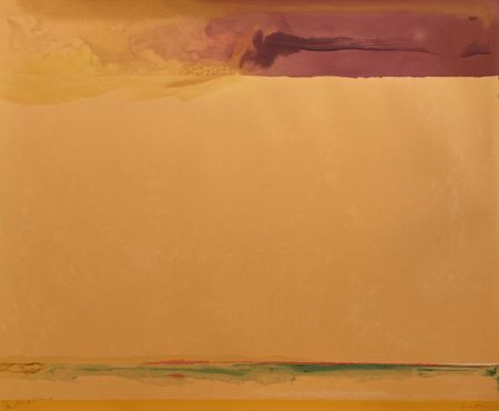 Siebdruck Frankenthaler - Southern Exposure
