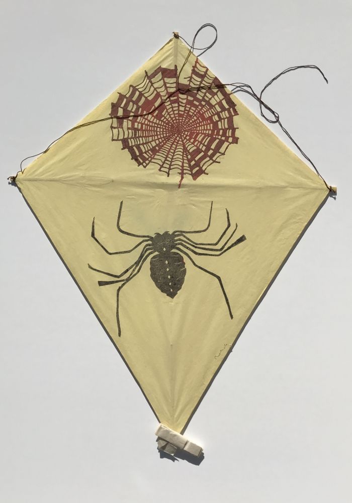 Keine Technische Toledo - Spider and Web Kite