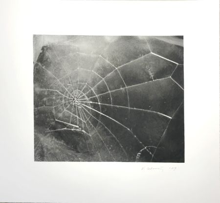 Siebdruck Celmins - Spider Web 