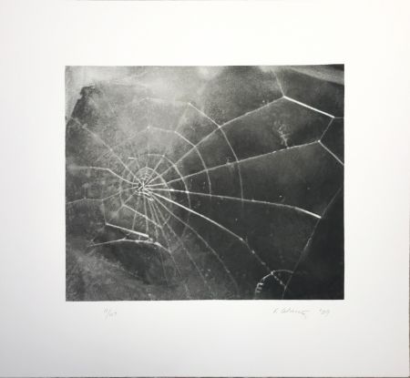 Siebdruck Celmins - Spider Web