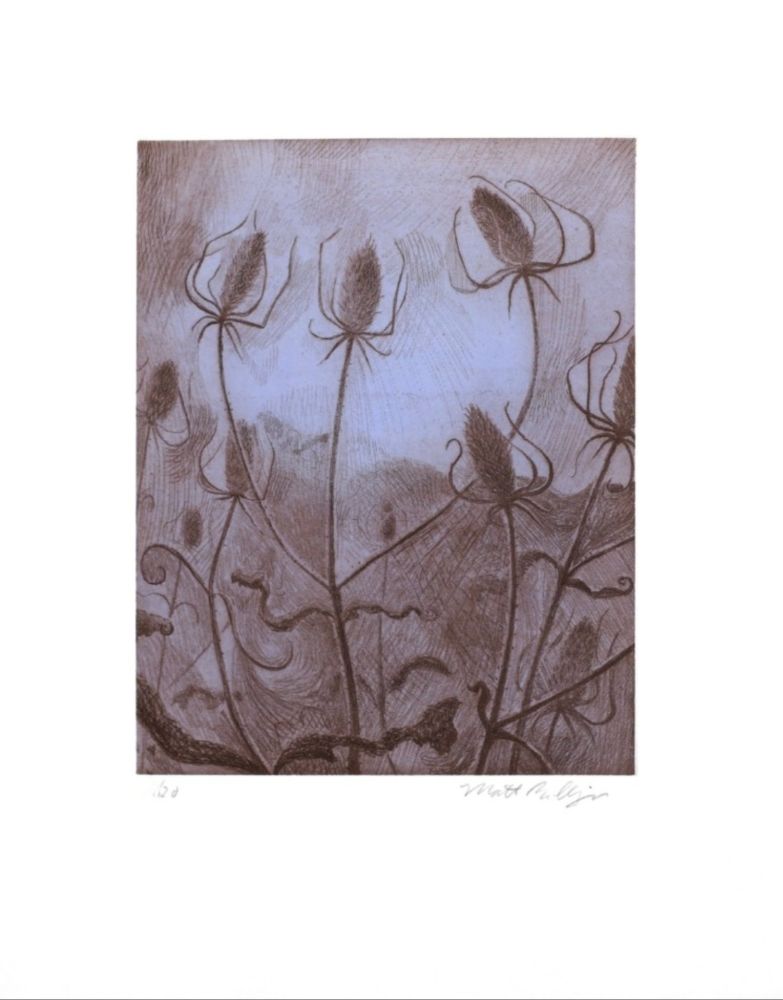 Stich Bollinger - Spider's Teasel