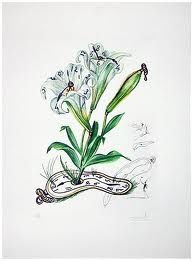 Kaltnadelradierung Dali - Surrealistic Flowers, 540, Lilium longiflorum vel tempus