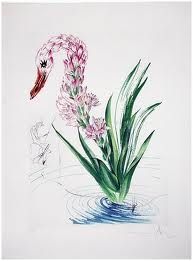 Kaltnadelradierung Dali - Surrealistic Flowers, 542, Polyanthes tyberosa et cygnus vegetalis