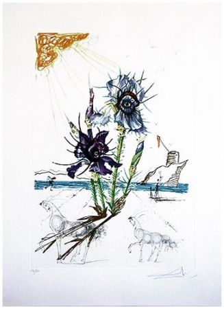 Kaltnadelradierung Dali - Surrealistic Flowers, 544, Iris germanica cum ocellis italicis