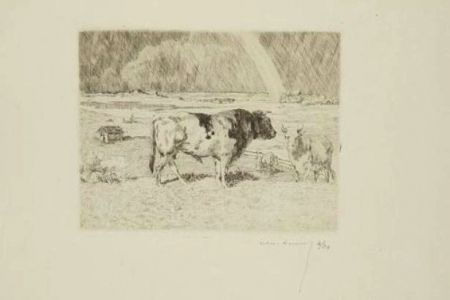 Stich Lunois - Taureau dans un pré / Bull in a Meadow