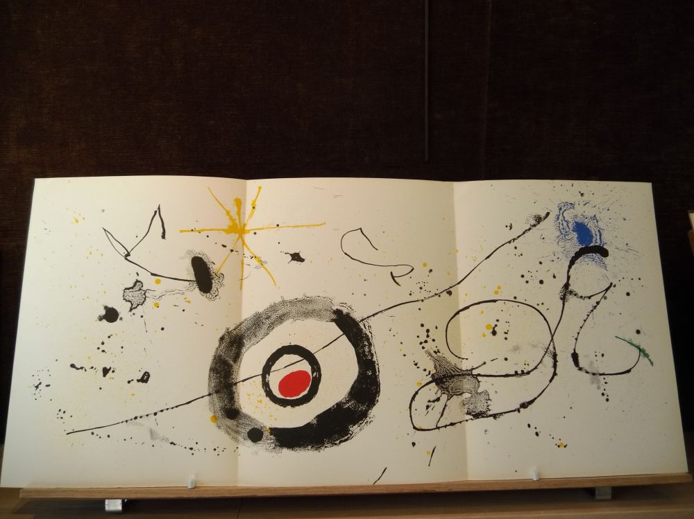 Illustriertes Buch Miró - Terres de grand feu