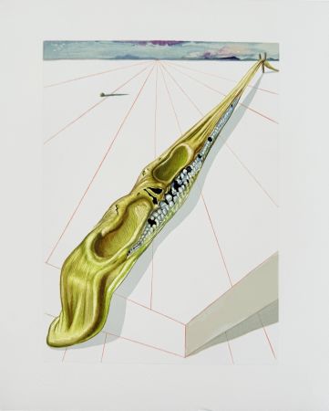 Holzschnitt Dali - The Inferno, Canto 14 - Blasphémateurs