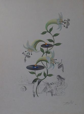 Stich Dali - The Lily - Lilium Musicum