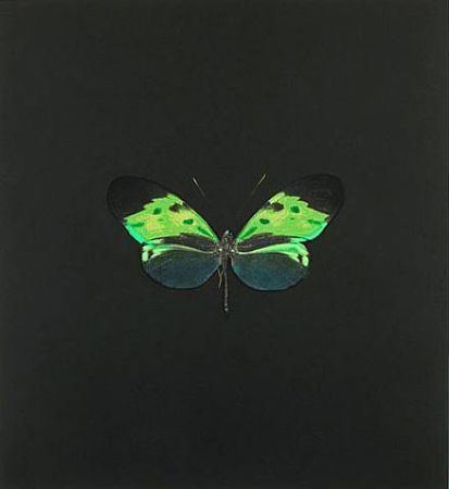 Radierung Hirst - The Souls on Jacob's Ladder Take Their Flight (Small Green)