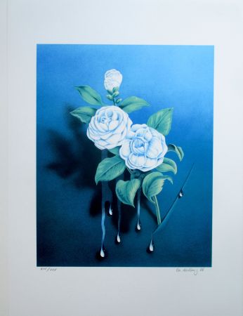 Lithographie Ahlberg - The White Rose