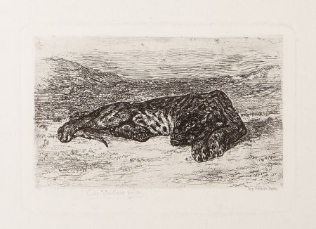 Stich Delacroix - Tiger Sleeping in the Desert