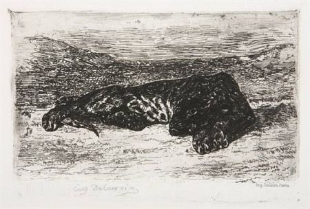 Stich Delacroix - Tigre couché dans le désert