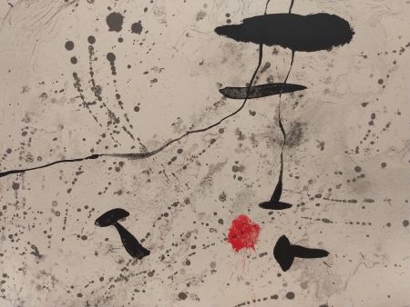 Illustriertes Buch Miró - Trace Sur l'eau