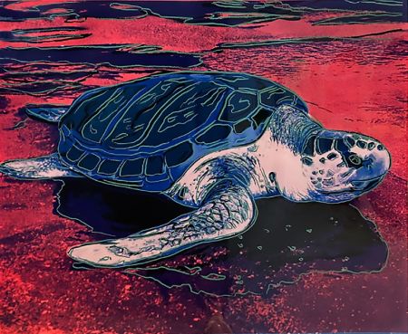Siebdruck Warhol (After) - Turtle