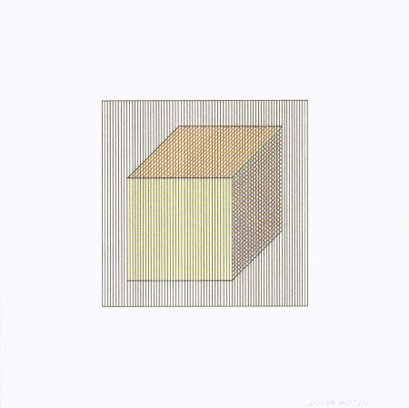 Siebdruck Lewitt - Twelve Forms Derived From a Cube 01