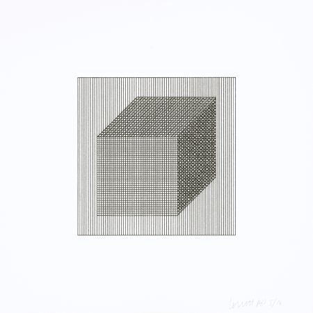 Siebdruck Lewitt - Twelve Forms Derived From a Cube 02
