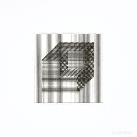 Siebdruck Lewitt - Twelve Forms Derived From a Cube 16