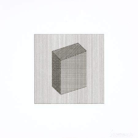 Siebdruck Lewitt - Twelve Forms Derived From a Cube 18
