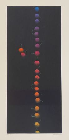 Mezzotinto Hamaguchi - Twenty-Two Cherries (multicolor)