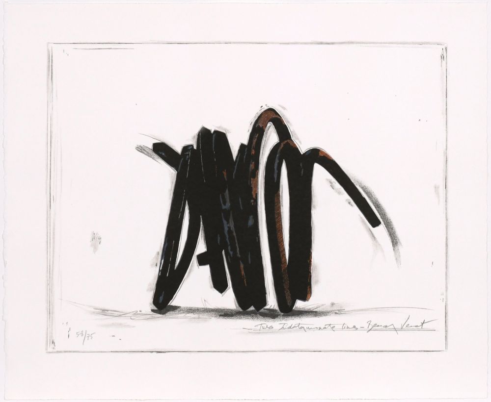 Siebdruck Venet - Two indeterminate lines