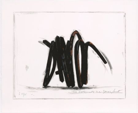 Siebdruck Venet - Two indeterminate lines