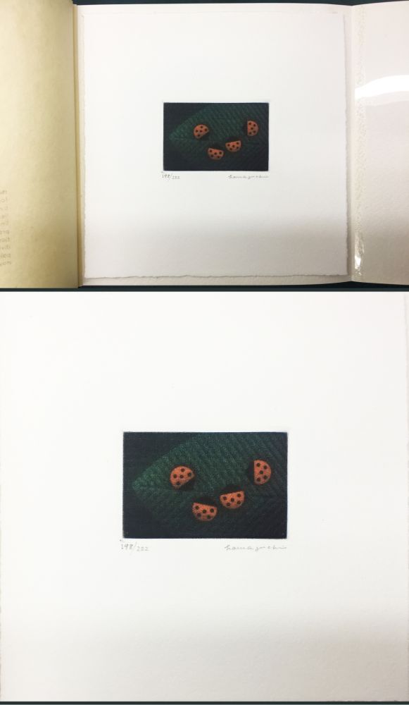 Mezzotinto Hamaguchi - Two Pairs (Ladybirds). signed. with the original book (1976)