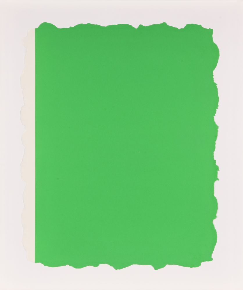 Aquatinta Flavin - Untitled, from Sequences - Green