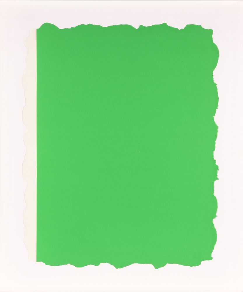 Aquatinta Flavin - Untitled, from Sequences - Green