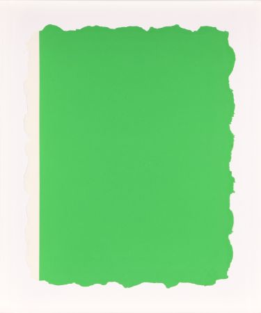 Aquatinta Flavin - Untitled, from Sequences - Green