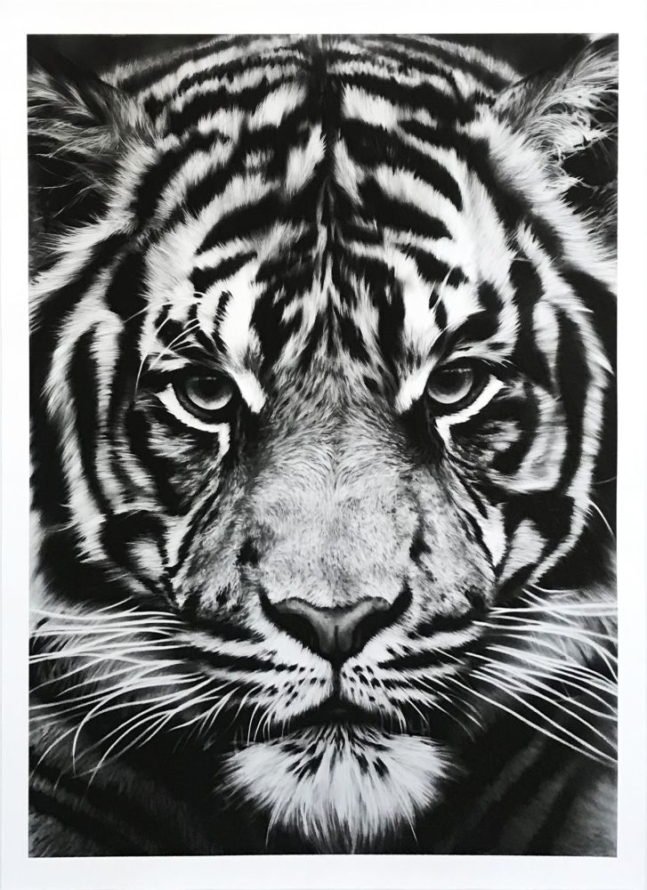 Keine Technische Longo - Untitled (Tiger)