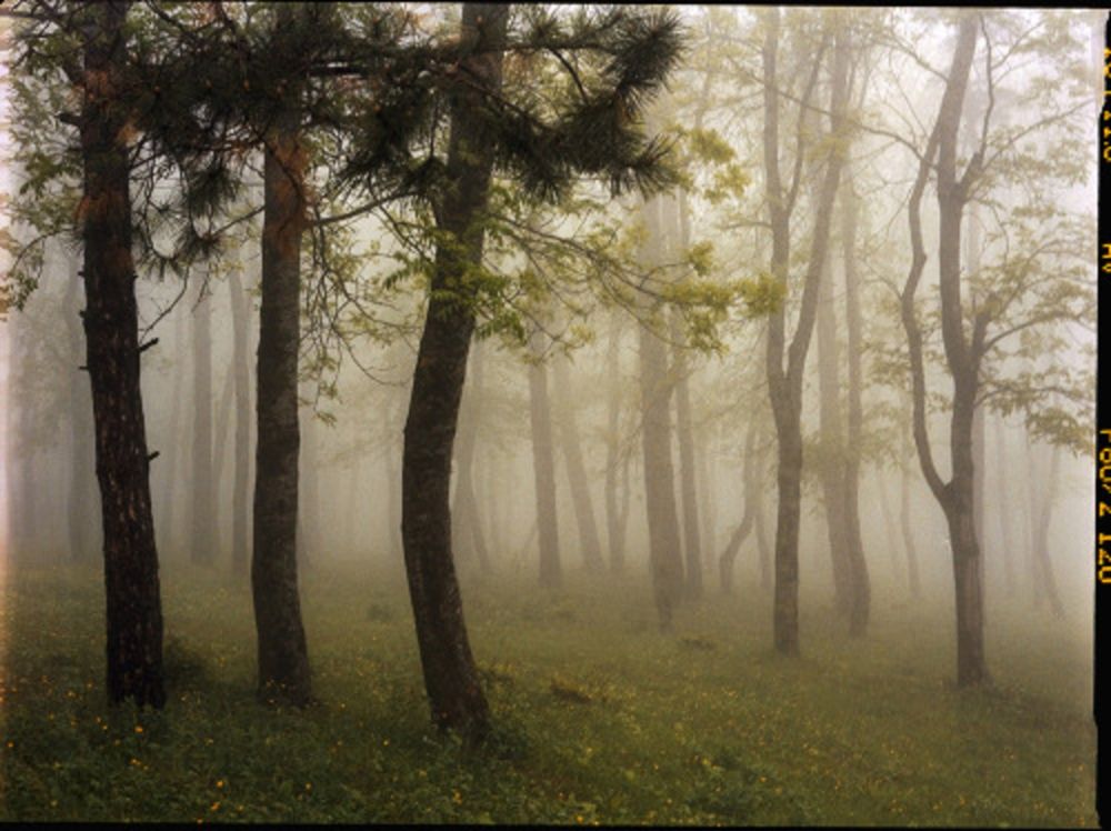 Fotografie Sitchinava - Upslope Fog in May 3